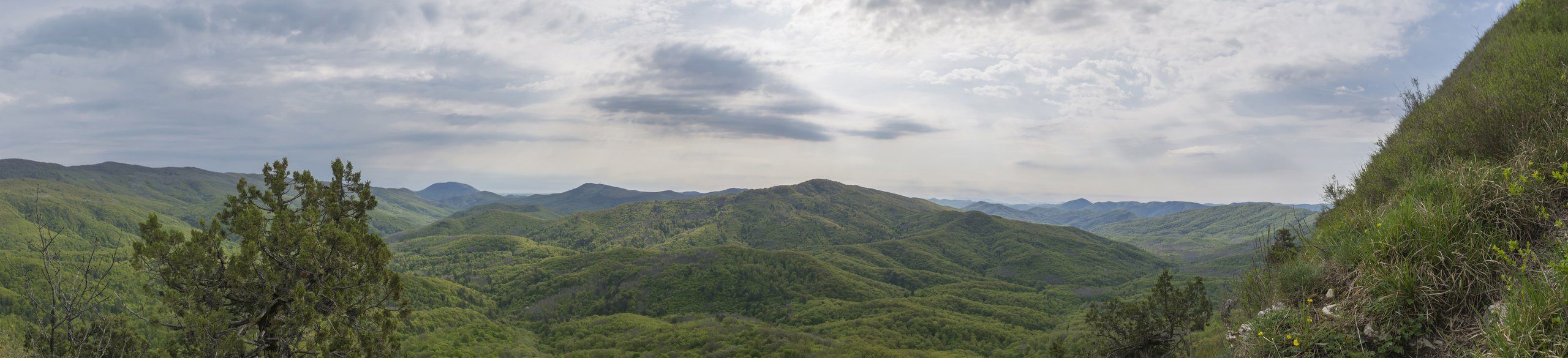 Панорама рядом с восточной вершиной горы Папай